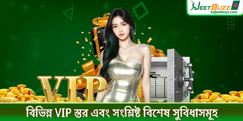 বিভিন্ন VIP স্তর এবং সংশ্লিষ্ট বিশেষ সুবিধাসমূহ